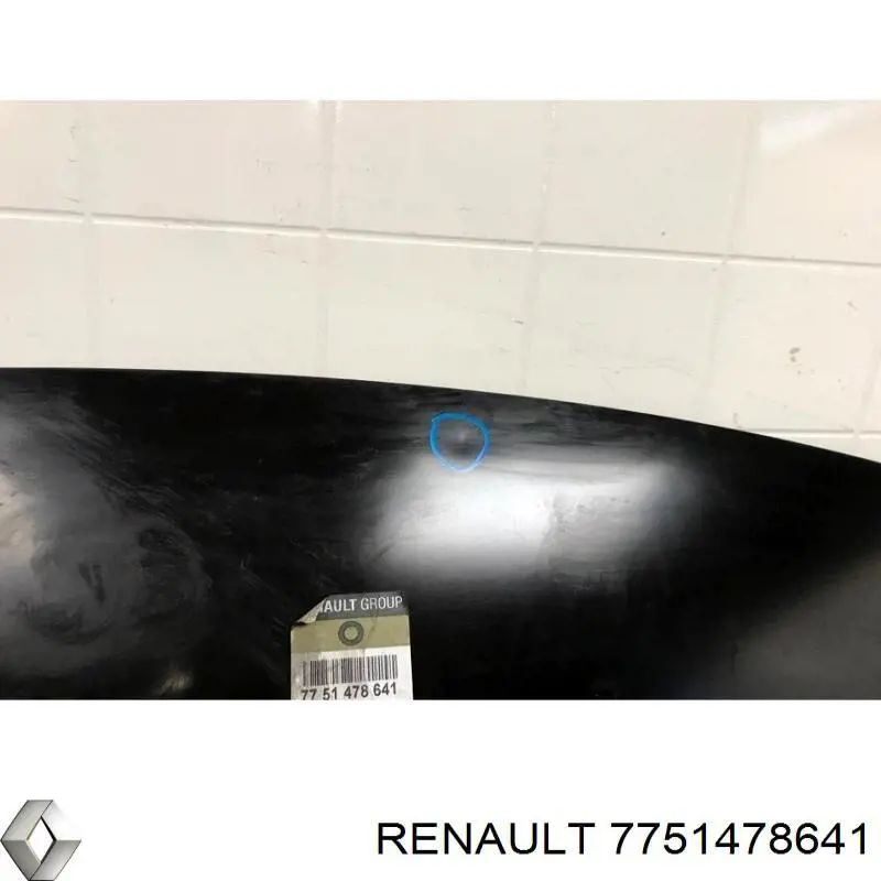 7751478641 Renault (RVI) capó
