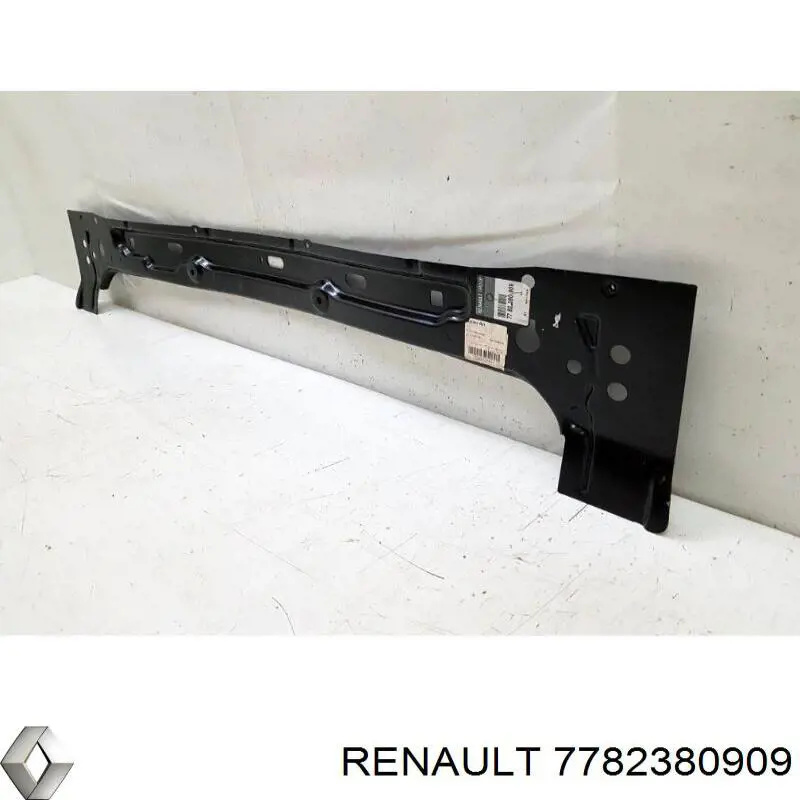 7782380909 Renault (RVI)