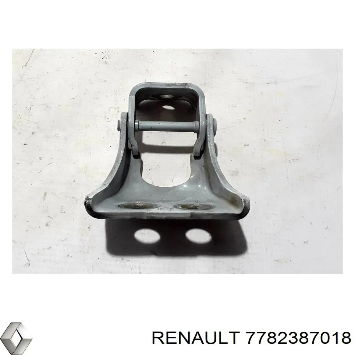 Bisagra de puerta delantera 804010770R Renault (RVI)