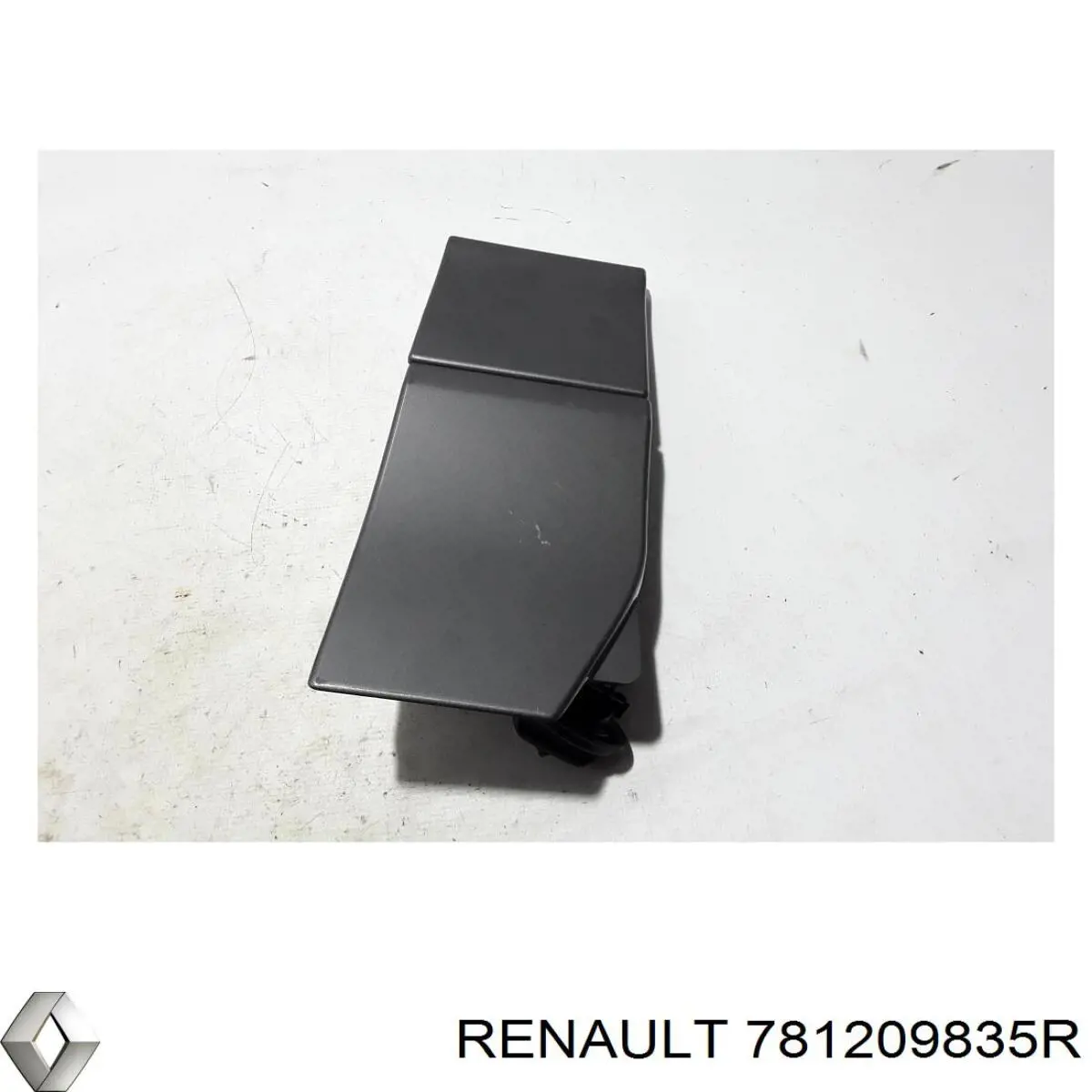 781209835R Renault (RVI)