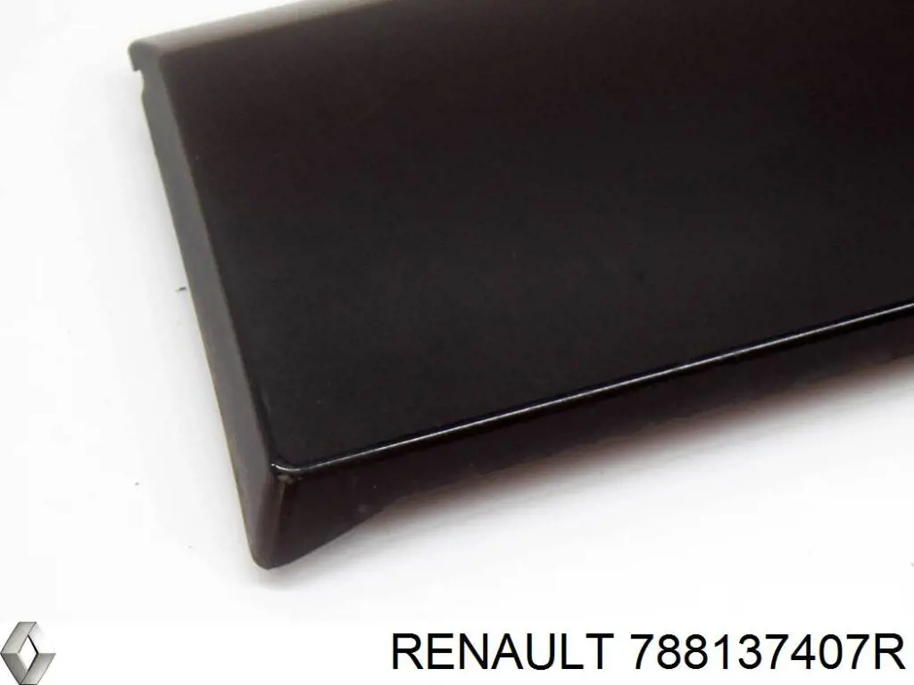 788137407R Renault (RVI) listón embellecedor/protector, guardabarros trasero izquierdo