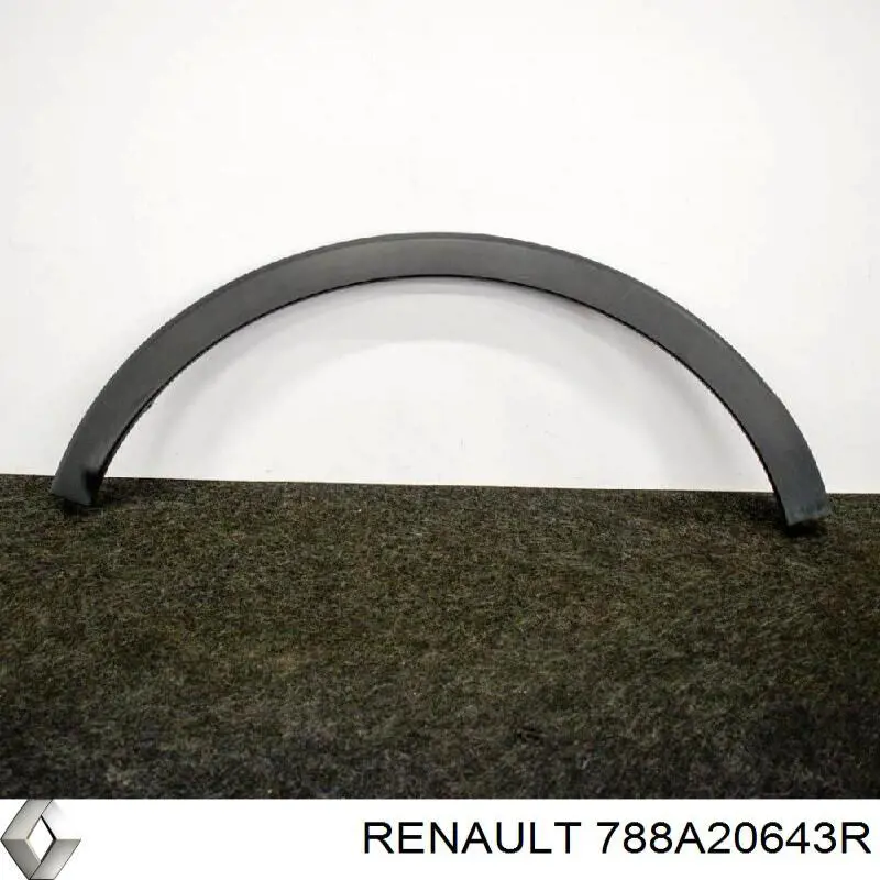 Extensión de la aleta trasera derecha Renault (RVI) 788A20643R precio, desde 60,98 EUR