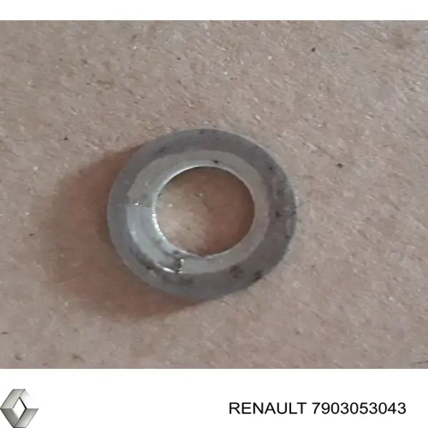 7903053043 Renault (RVI)
