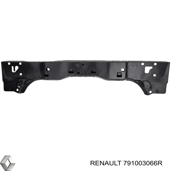 791003066R Renault (RVI)