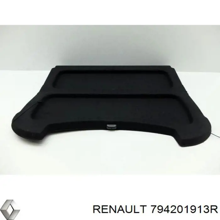 794201913R Renault (RVI)