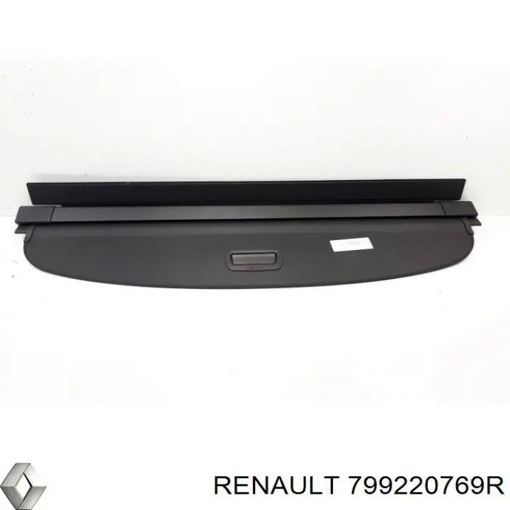 799220769R Renault (RVI) 