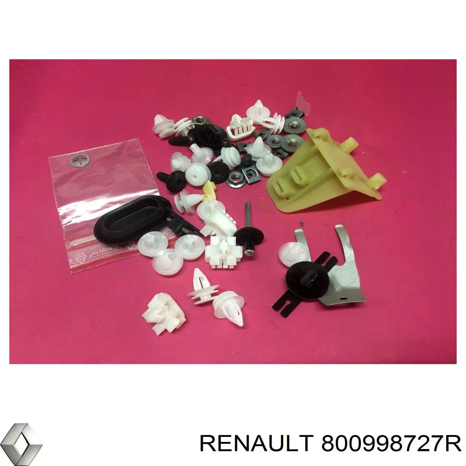 Pistón de fijación del revestimiento de la puerta Renault (RVI) 800998727R precio, desde 153,75 EUR