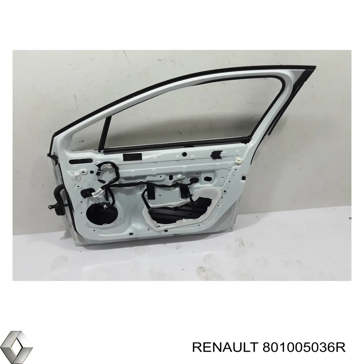 801005036R Renault (RVI)