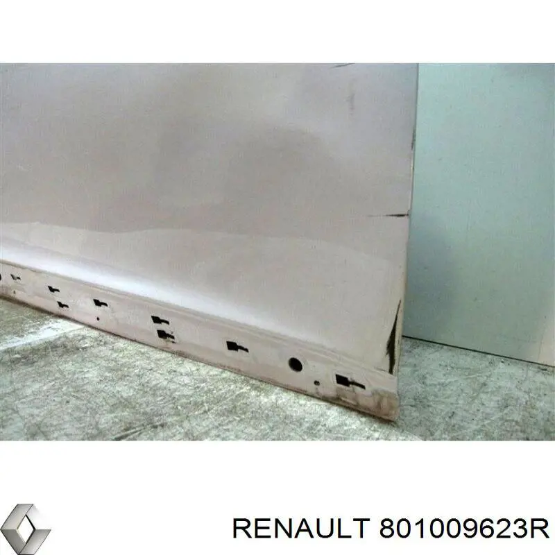 801009623R Renault (RVI)