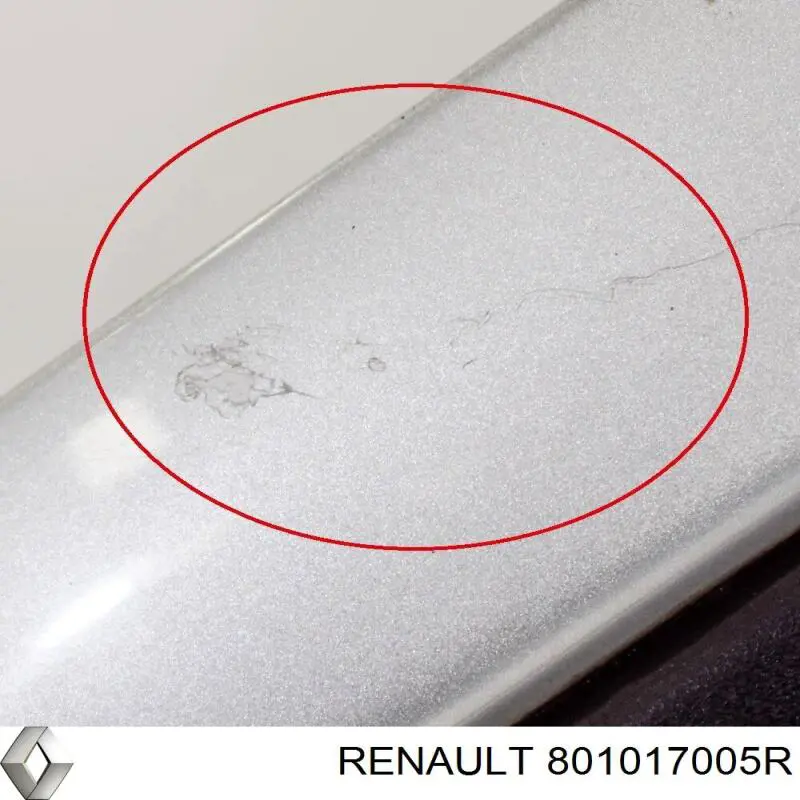 Comprar Puerta delantera izquierda Renault Master III FV