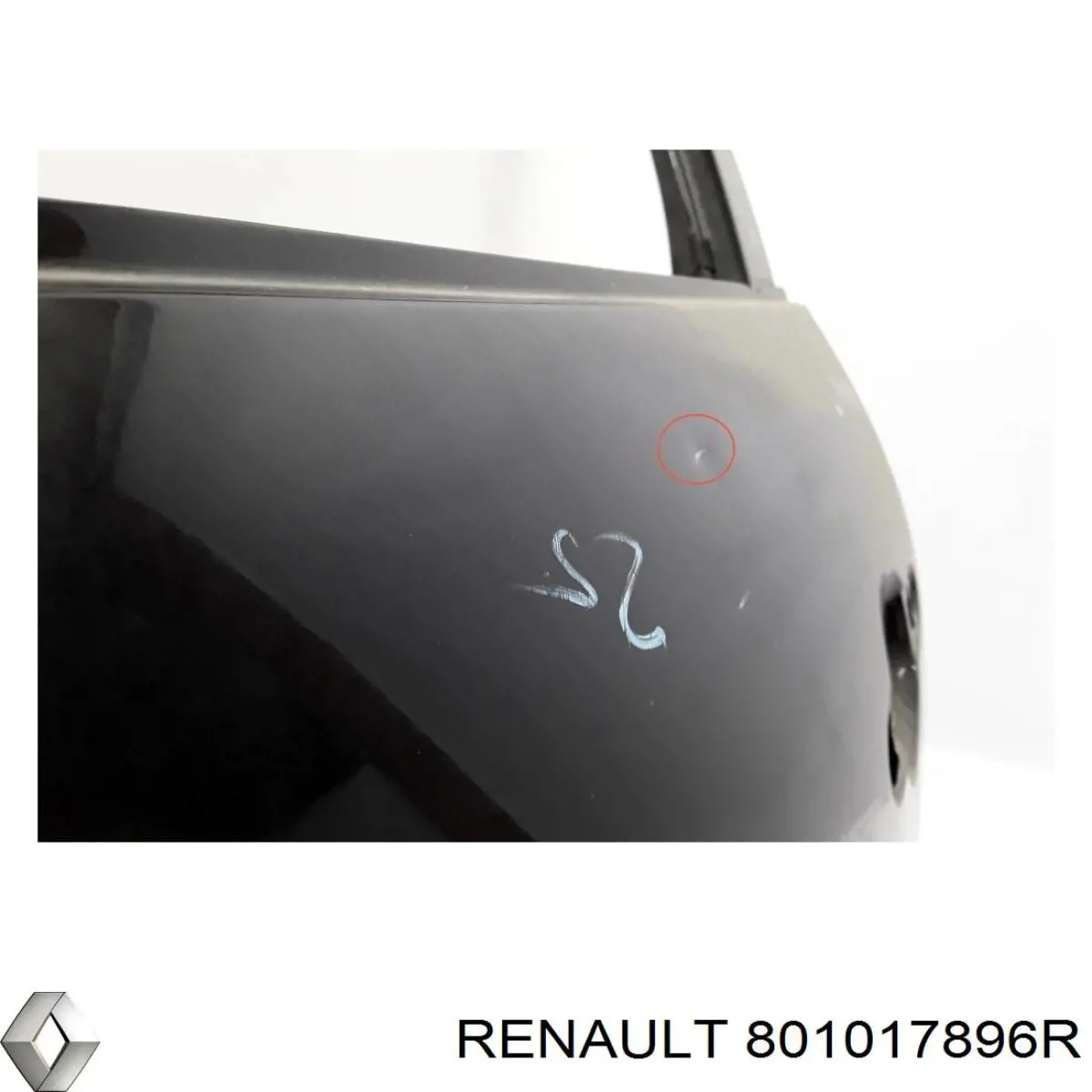 Comprar 801017896R Renault (RVI) Puerta delantera izquierda