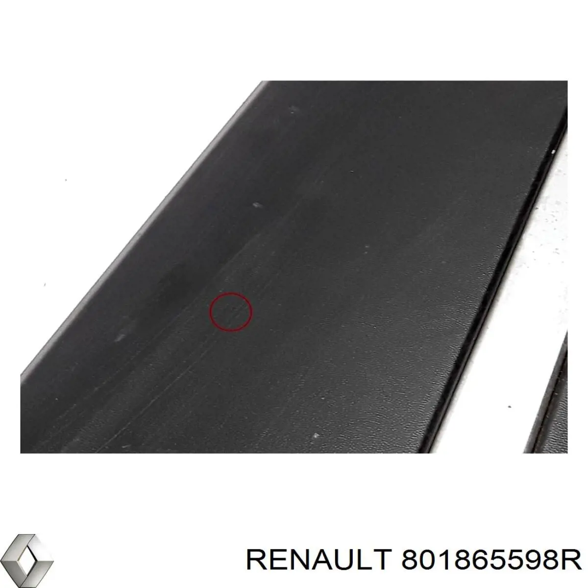 Moldura de puerta delantera derecha 801865598R Renault (RVI)