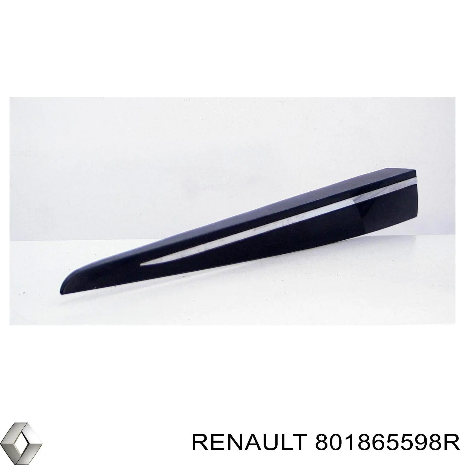 Protector puerta delantera derecha Renault (RVI) 801865598R