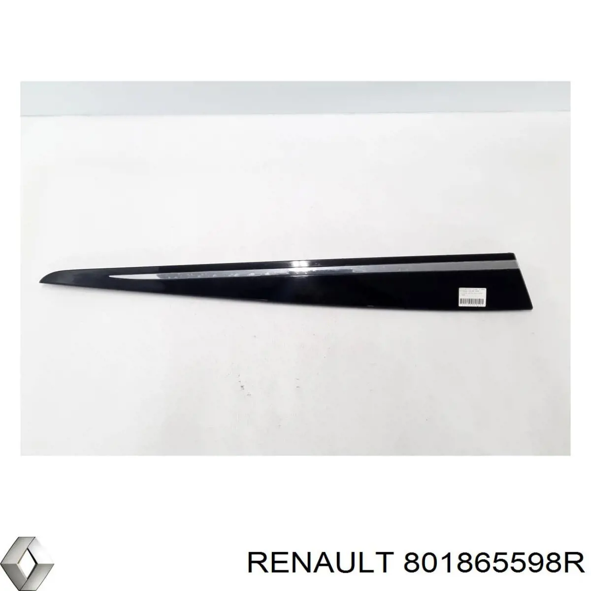 801865598R Renault (RVI)