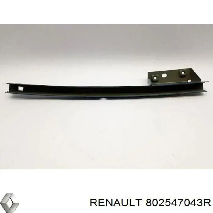 802547043R Renault (RVI)