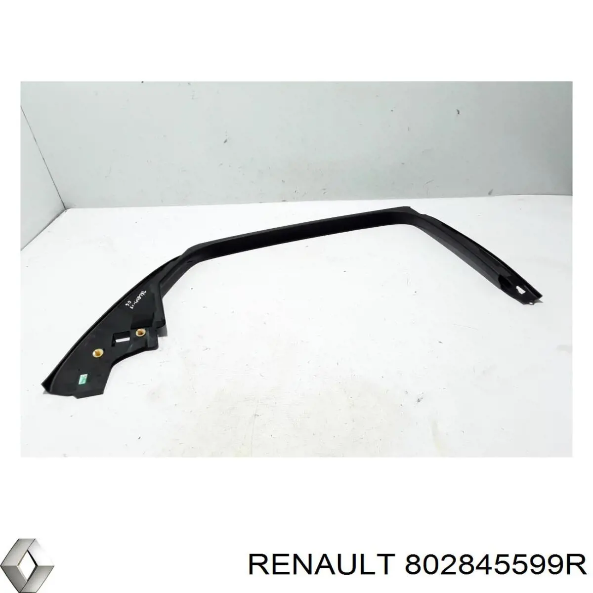 802845599R Renault (RVI) 