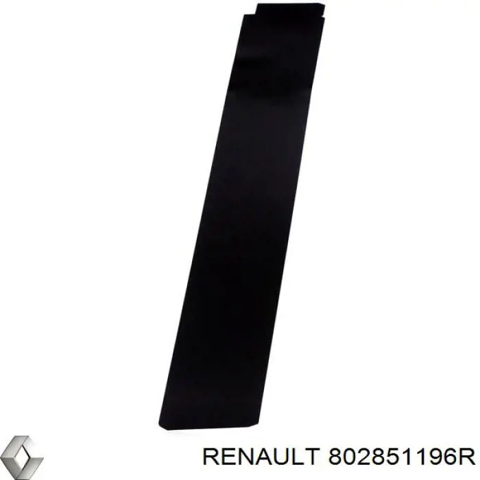 802851196R Renault (RVI)