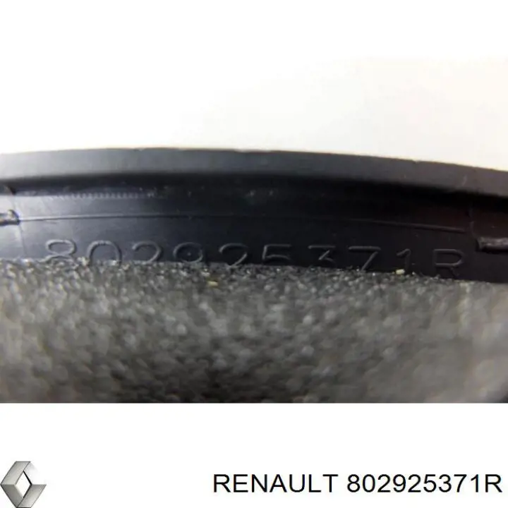 802925371R Renault (RVI)