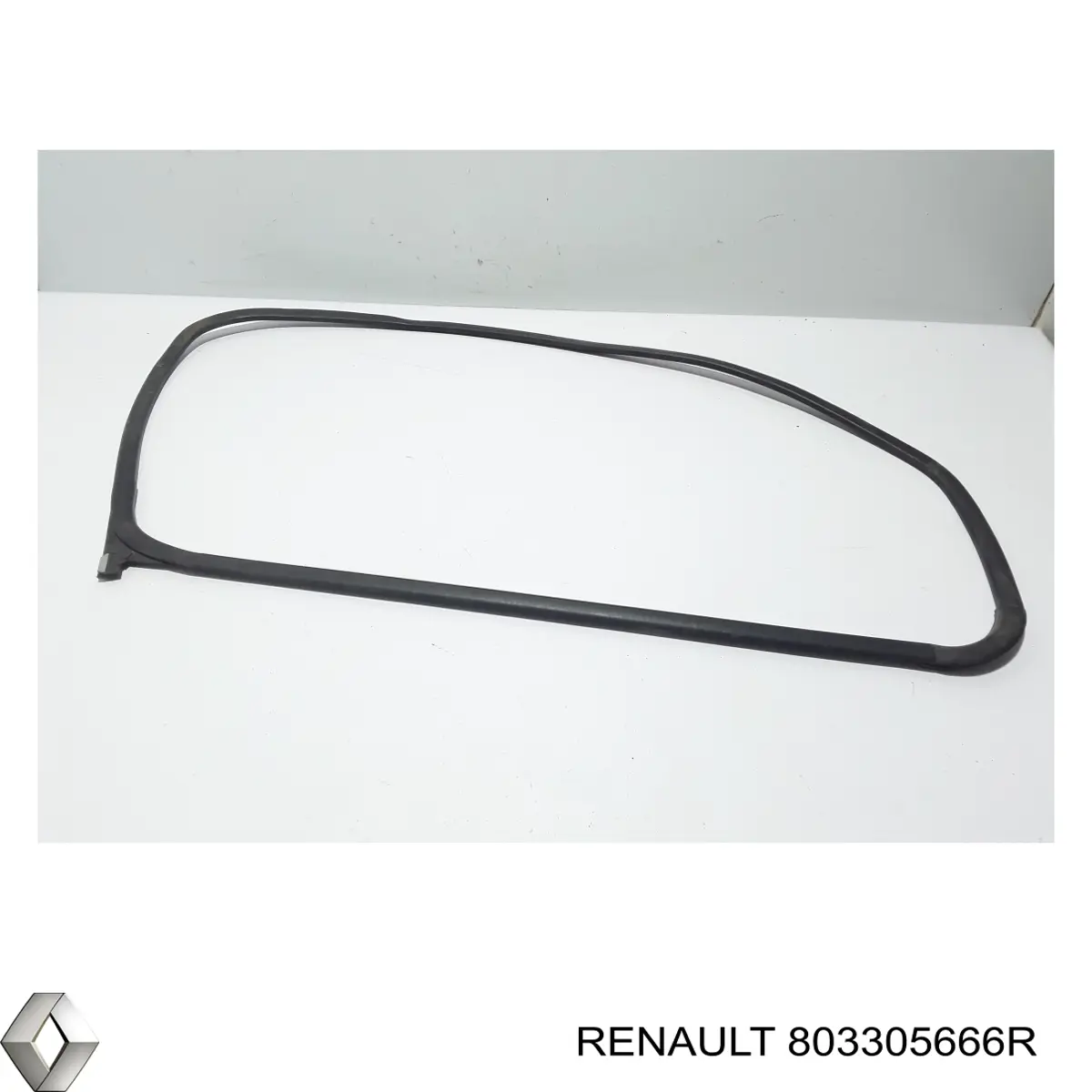 803305666R Renault (RVI)