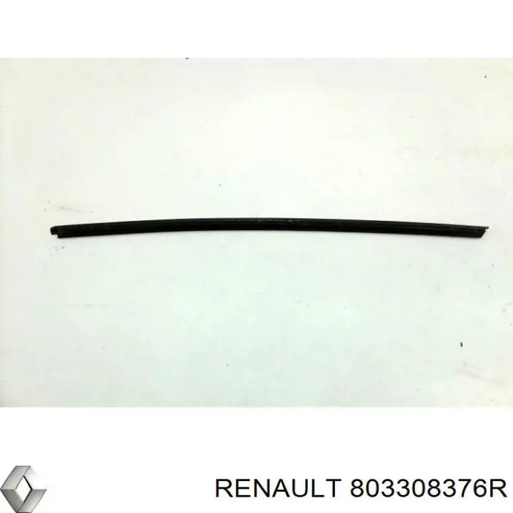 803308376R Renault (RVI)