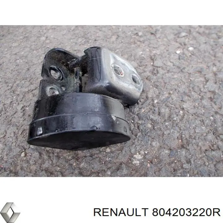 Bisagra de la puerta delantera derecha 8200538141 Renault (RVI)