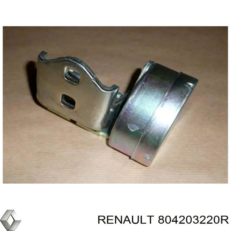 Bisagra delantera derecha Renault (RVI) 804203220R