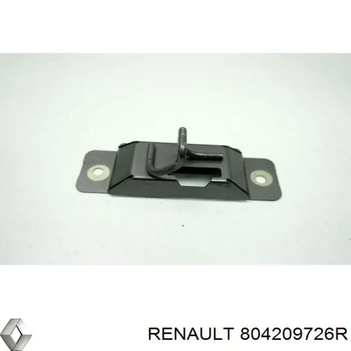 Bisagra de puerta delantera Renault (RVI) 804209726R precio, desde 96,38 EUR