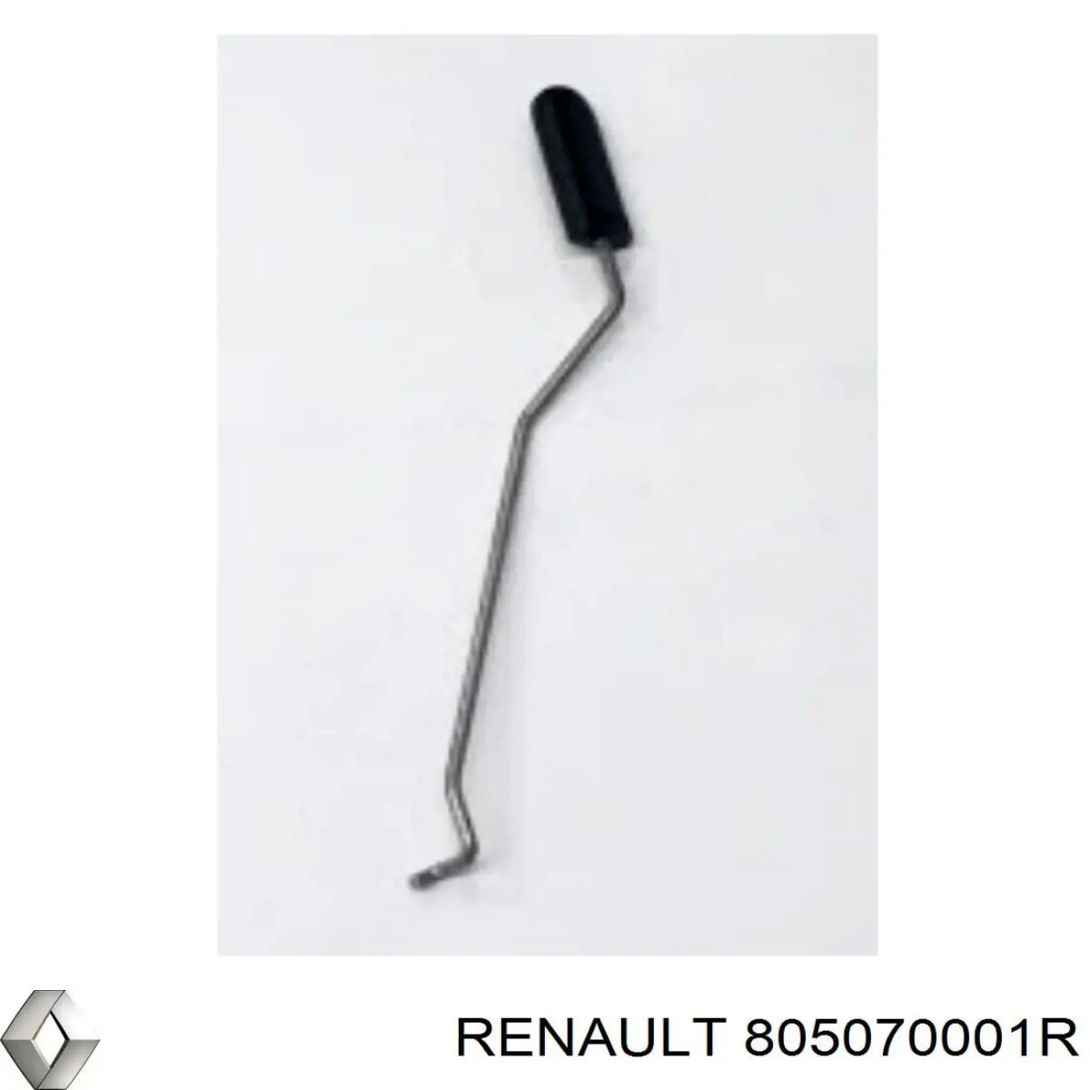 805070001R Renault (RVI)