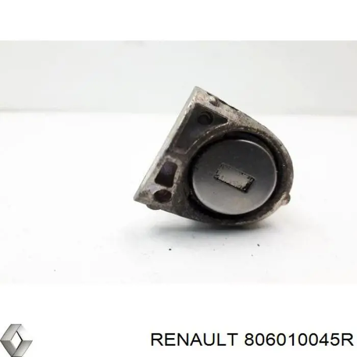 806010045R Renault (RVI)