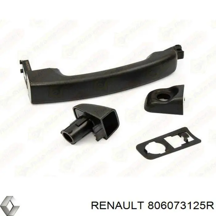 Manija exterior izquierda de puerta delantera Renault (RVI) 806073125R precio, desde 85,20 EUR