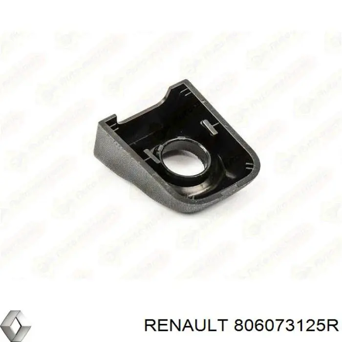 Manija exterior izquierda de puerta delantera 806073125R Renault (RVI)