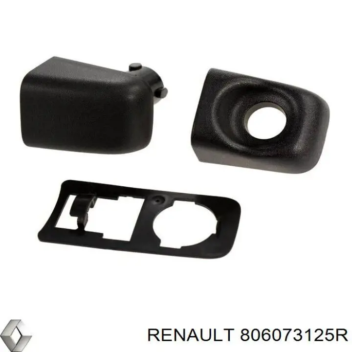 806073125R Renault (RVI) Manija exterior izquierda de puerta delantera