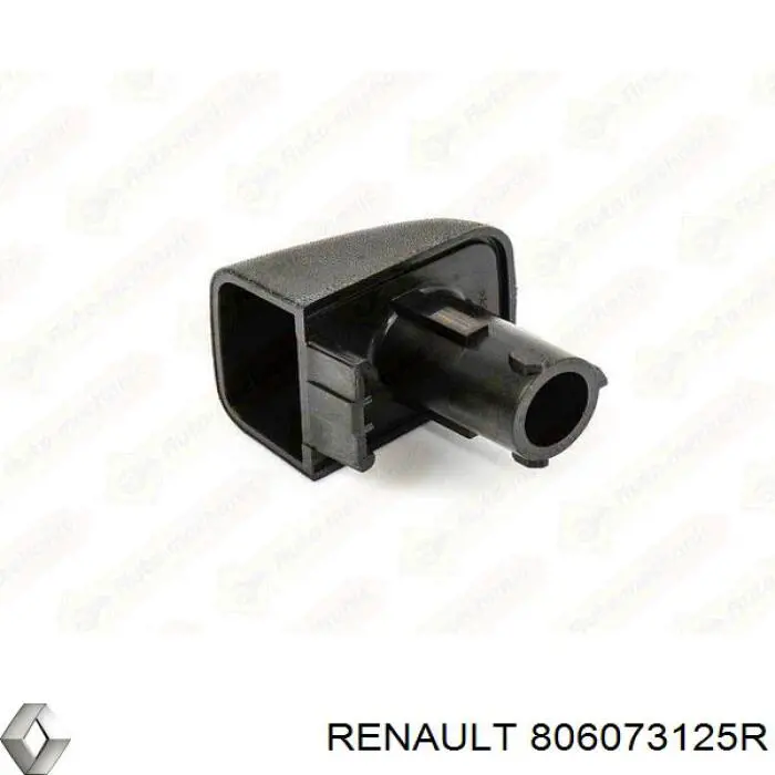 Manija exterior izquierda de puerta delantera Renault (RVI) 806073125R precio, desde 85,20 EUR