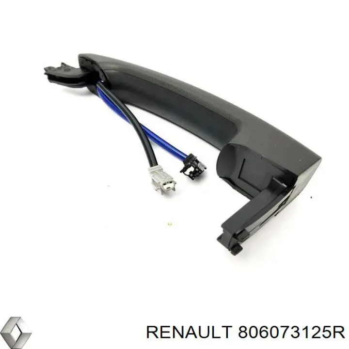 806073125R Renault (RVI) tirador de puerta exterior delantero izquierda