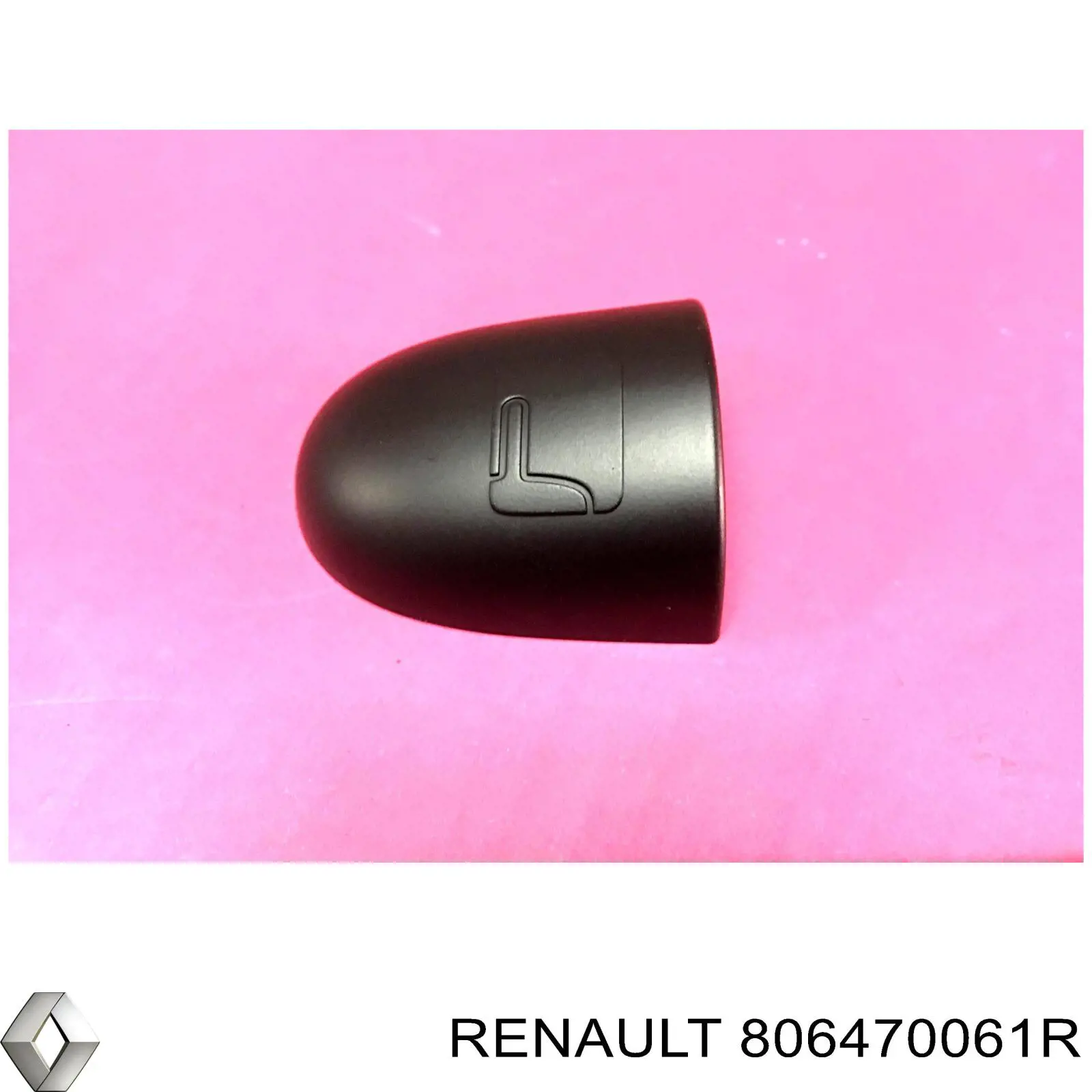 Embellecedor de la manija de puerta Renault (RVI) 806470061R precio, desde 56,30 EUR
