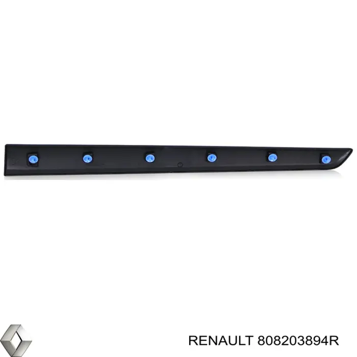 808203894R Renault (RVI)