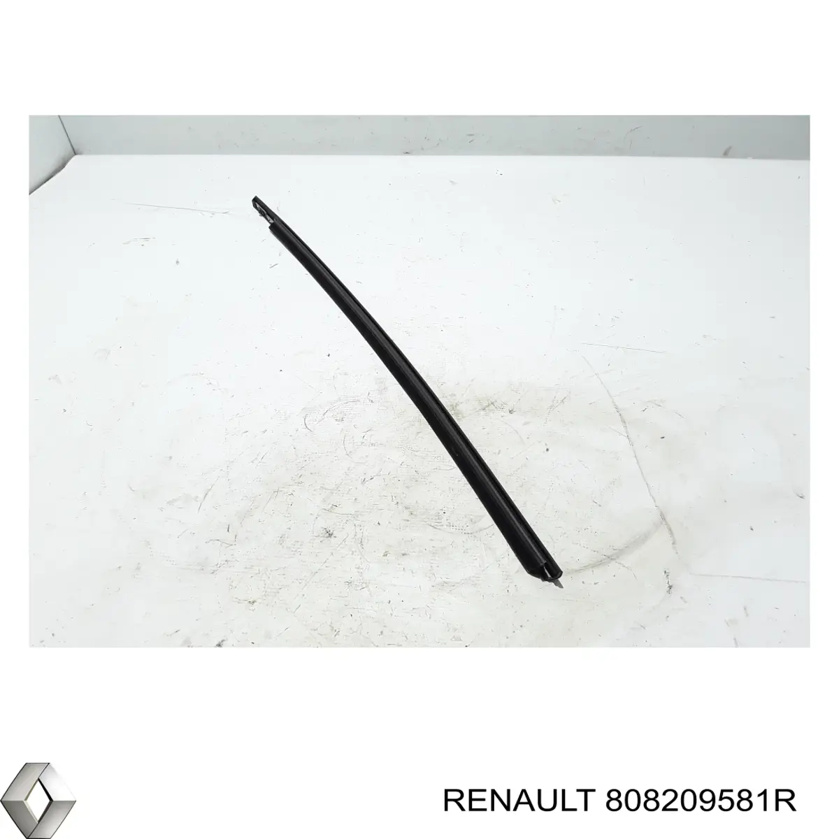 808209581R Renault (RVI)