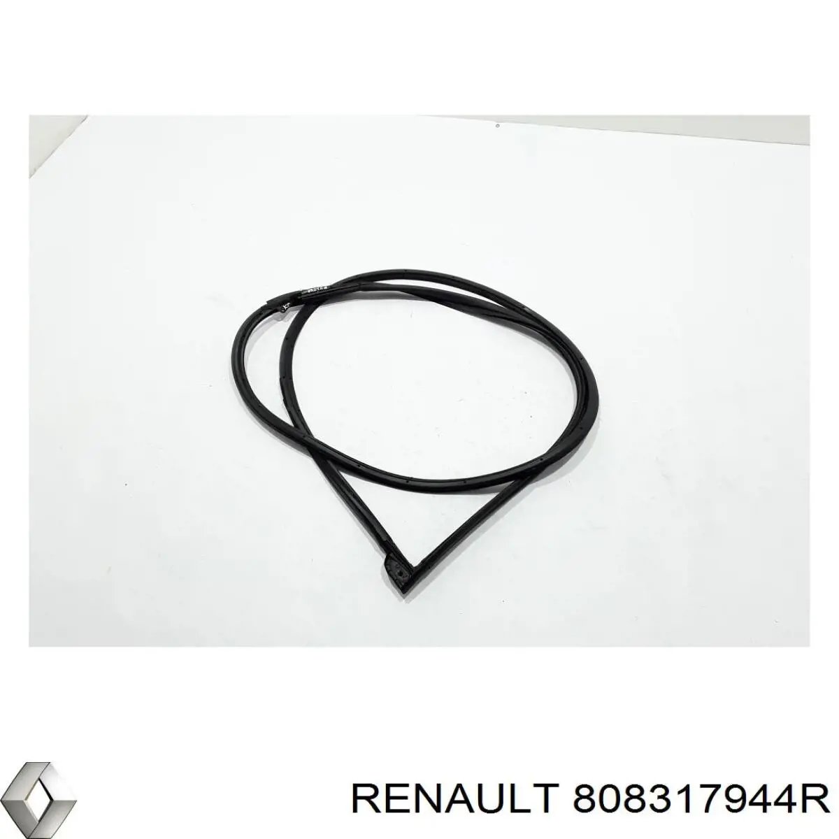 808317944R Renault (RVI) Junta de puerta delantera izquierda