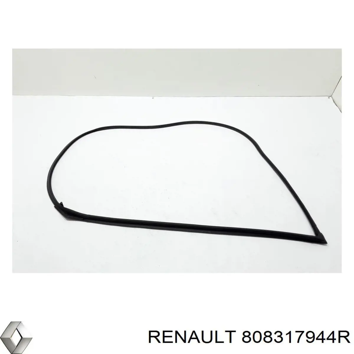 Junta de puerta delantera izquierda Renault (RVI) 808317944R precio, desde 228,10 EUR