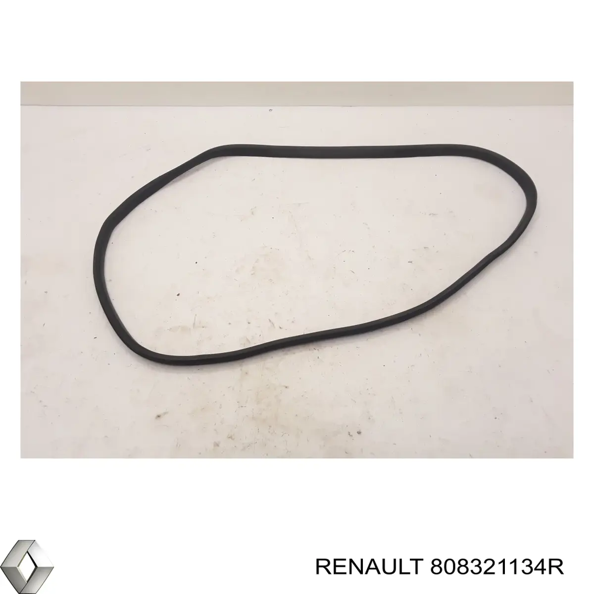 808321134R Renault (RVI)