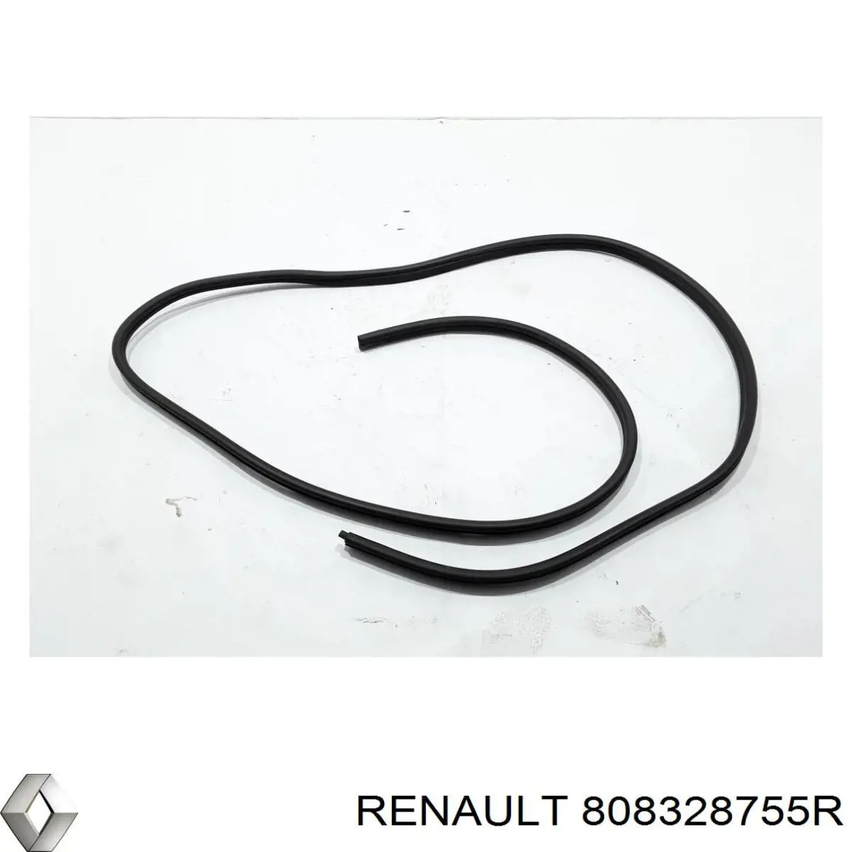  Renault (RVI) 808328755R precio, desde 71,88 EUR