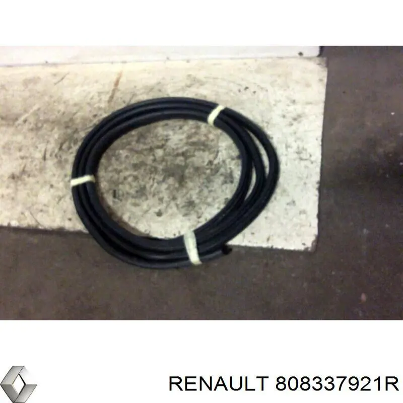 Junta de puerta delantera izquierda (en carrocería) para Renault Trafic (EG)