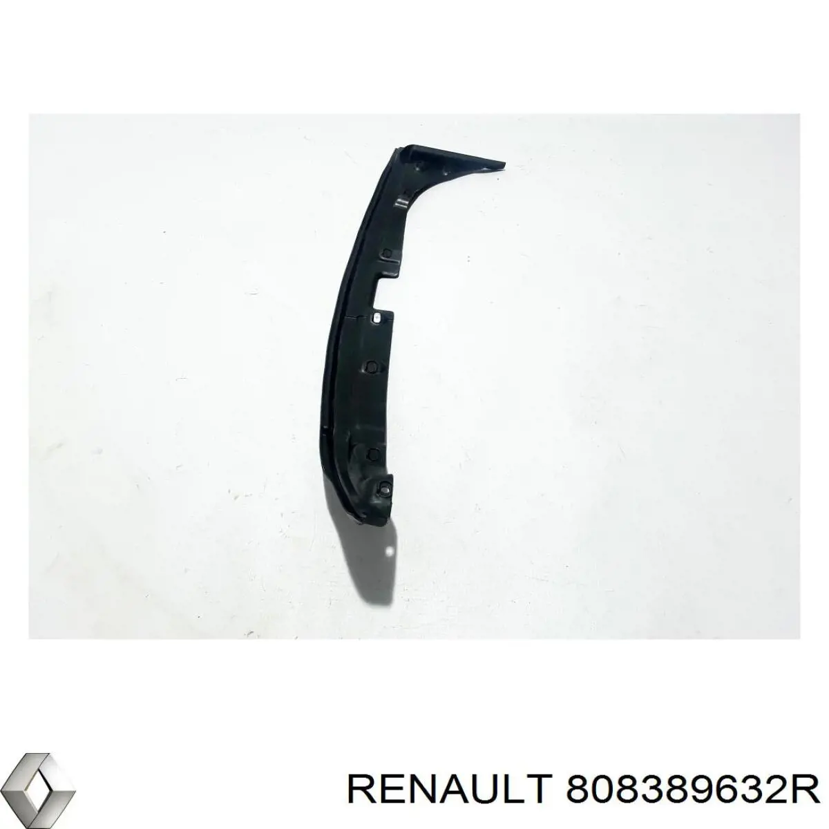 808389632R Renault (RVI)