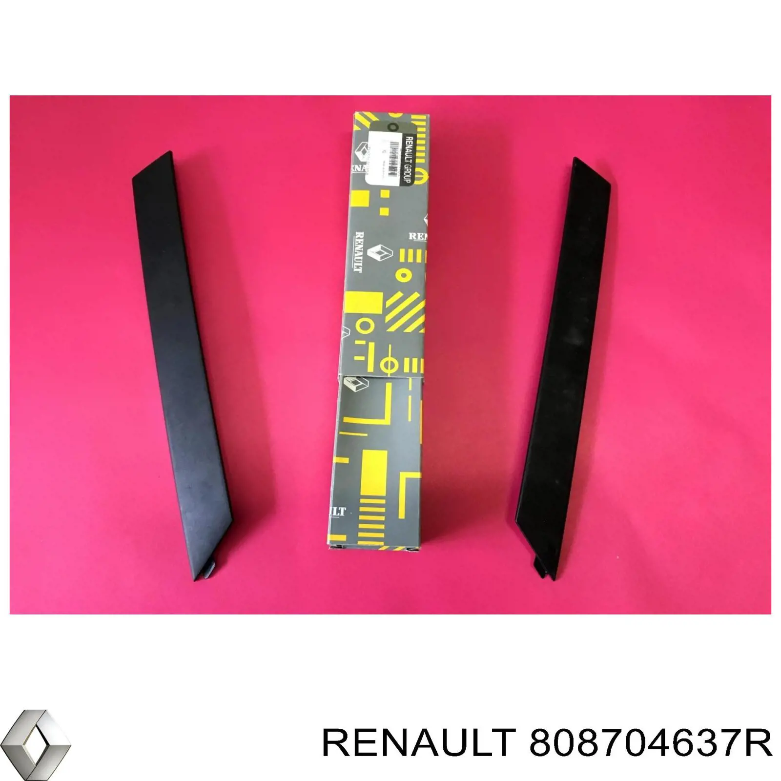 808704637R Renault (RVI)