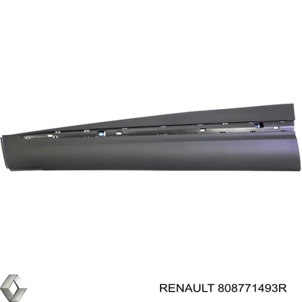 Moldura inferior de puerta delantera izquierda Prasco RN7501404 precio, desde 74,04 EUR