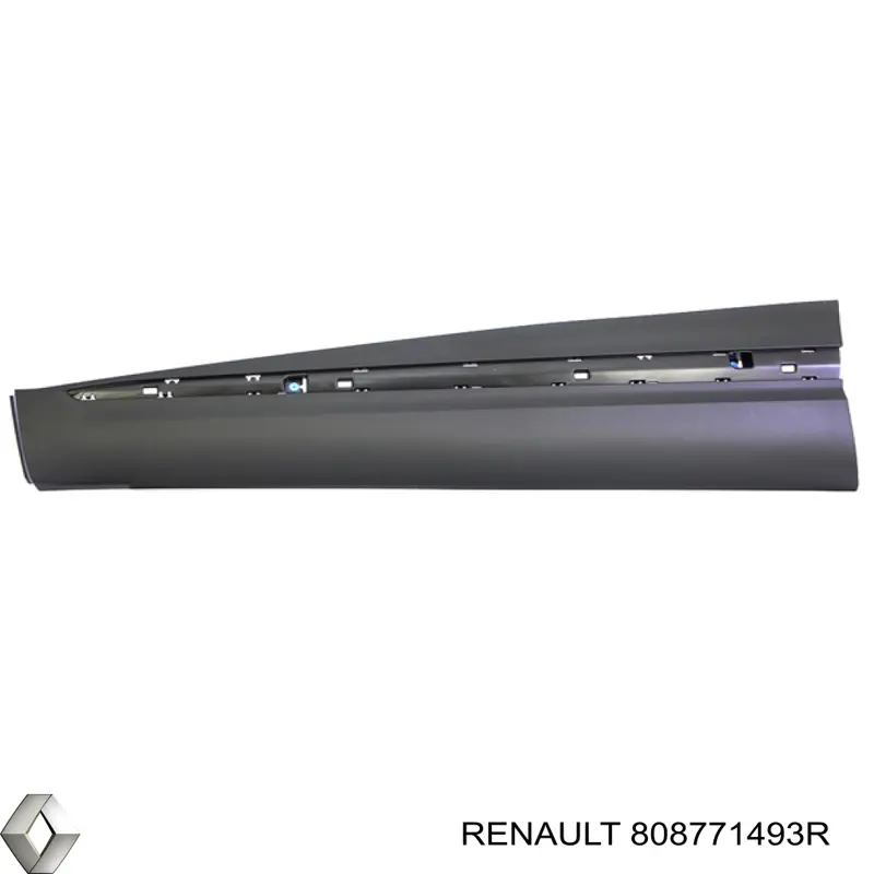 808771493R Renault (RVI)