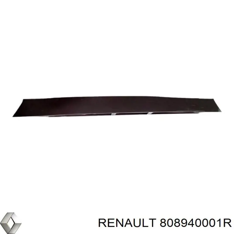 Corrugación del cableado de la puerta Renault (RVI) 808940001R
