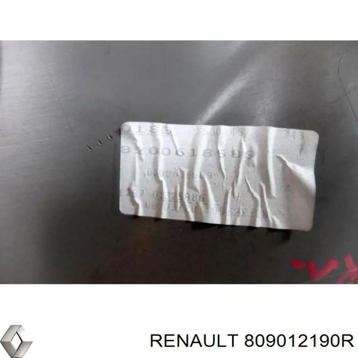 809012190R Renault (RVI)