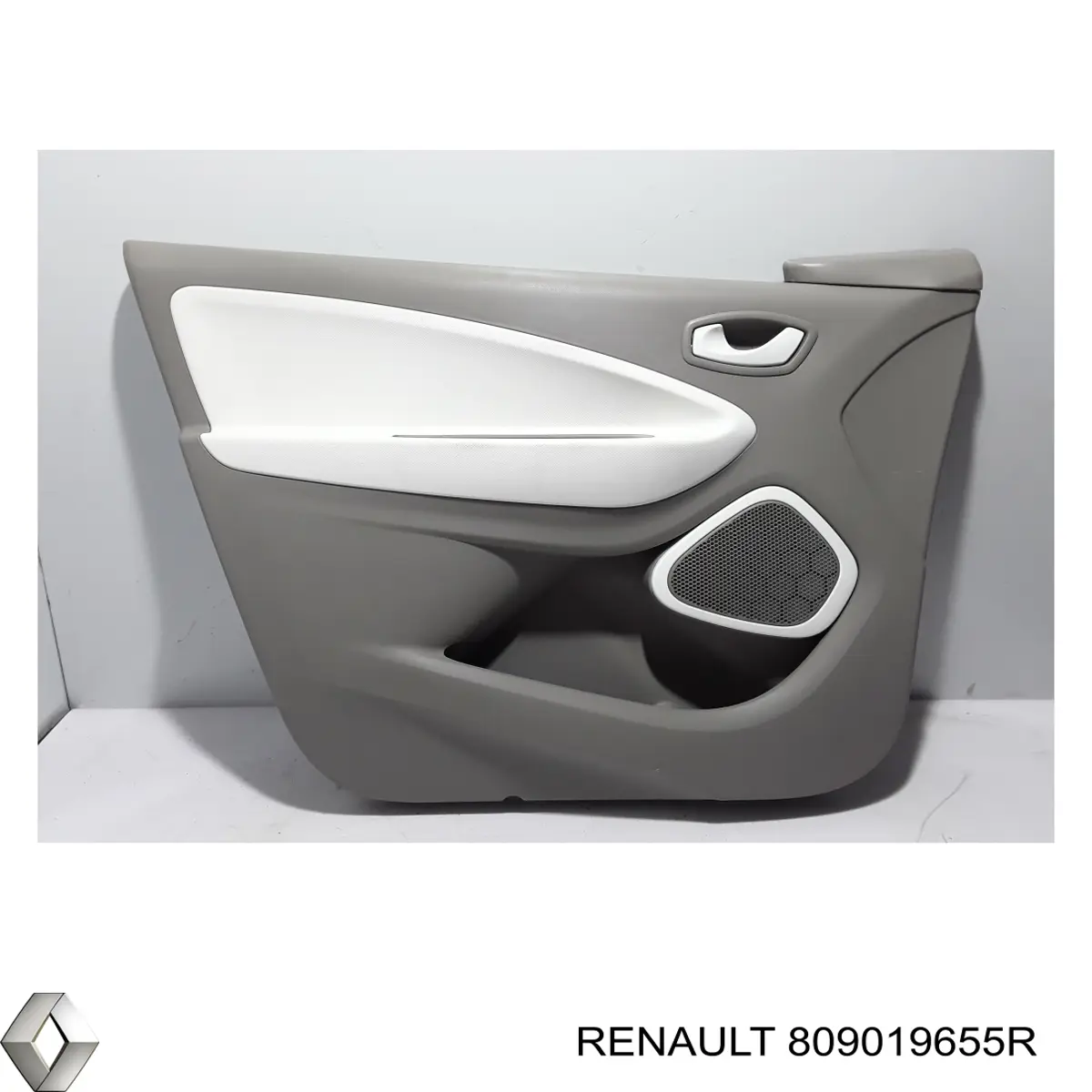 809019655R Renault (RVI)