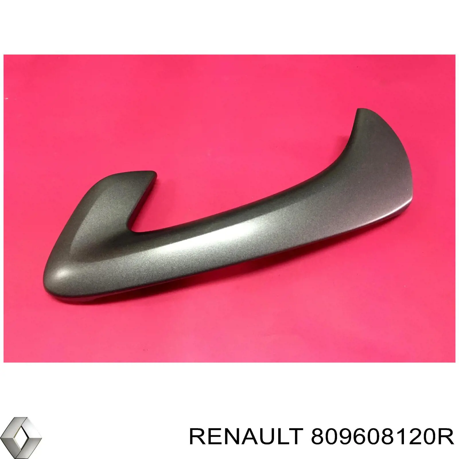 809608120R Renault (RVI)